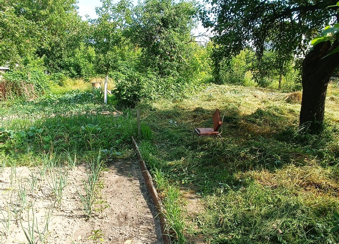 Купить Часть дома Скульптура О