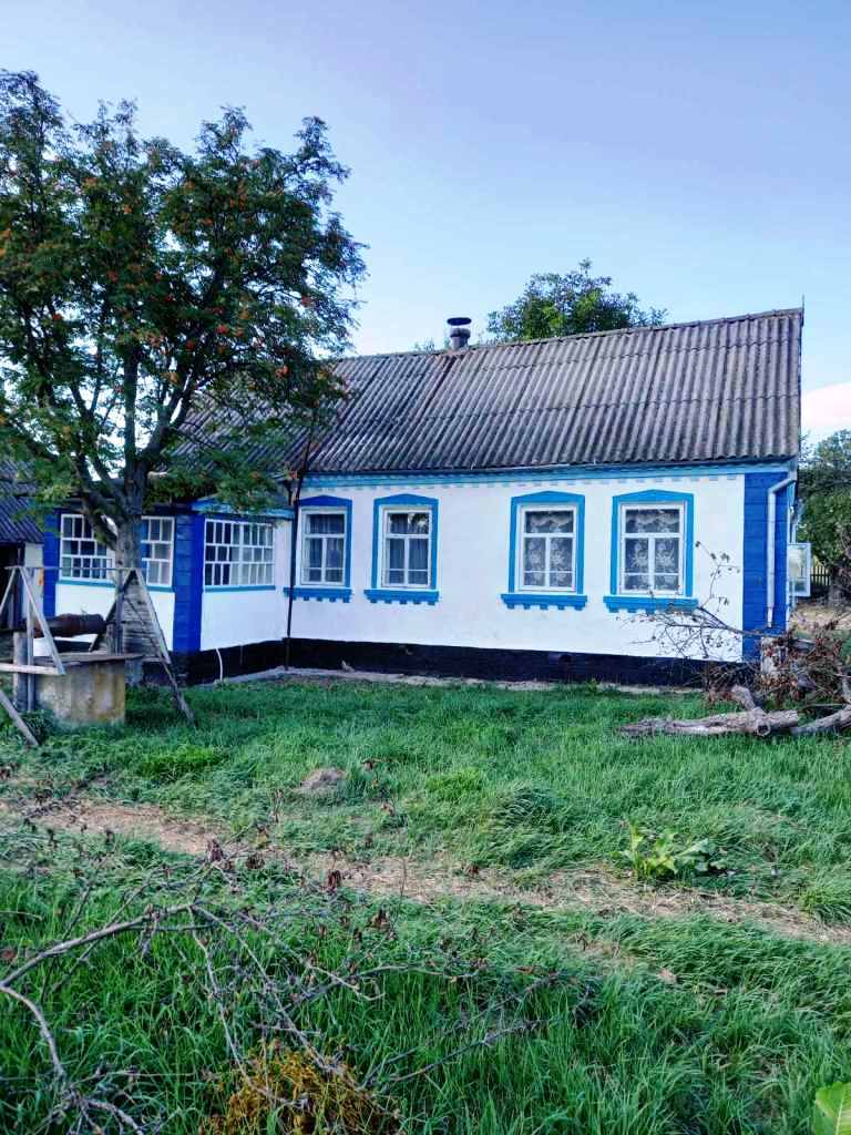 Купить Будинок Вільськ 